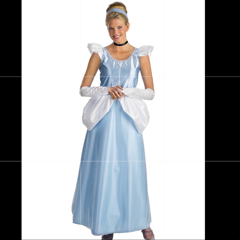 Disney version Cinderella adult costume